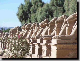 Alle borde de sphinx  tte de bliers (l'animal sacr d' Amon).